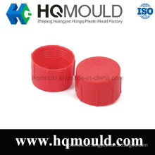 Professional Manufacturer Plastic Injection Capmolding